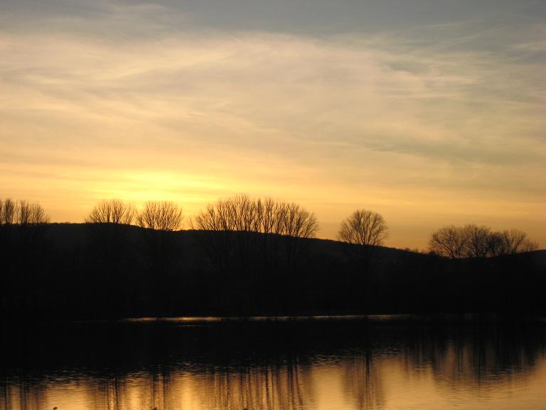 kiessee11.jpg