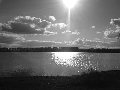 kiessee13.jpg
