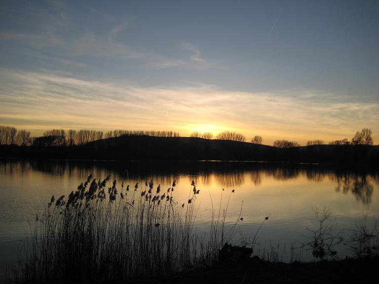 kiessee9.jpg